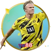 ve88