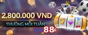 ve88